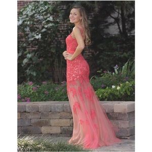 Gorgeous NWT size 00 coral, lace and tulle prom dress